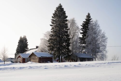 шпалери зима, дерева, будинки, сніг, 6к шпалери, природа