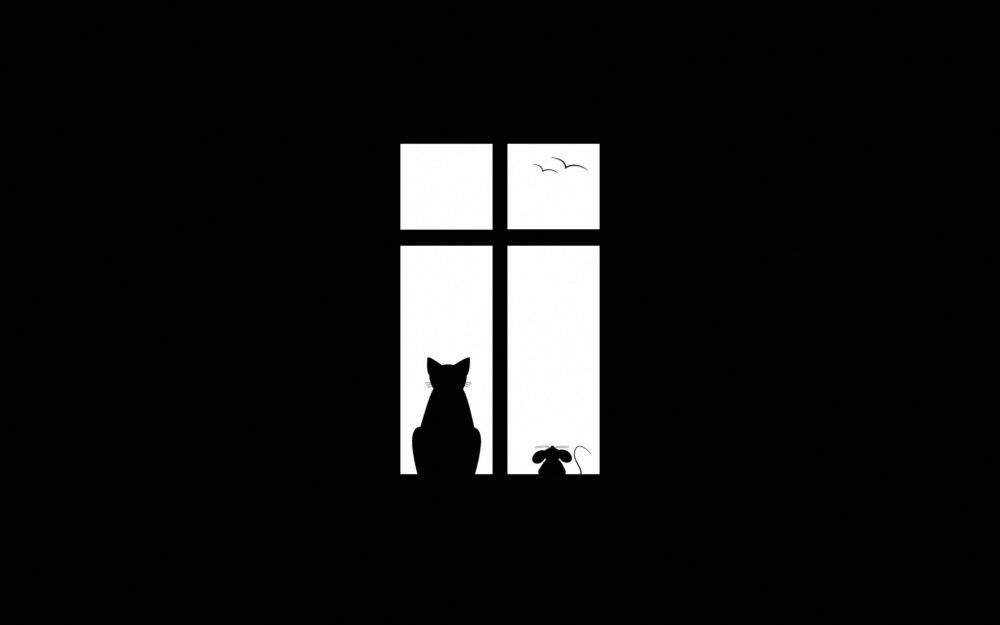 cat silhouette, window frame, peaceful scene, natural lighting, elegant cat