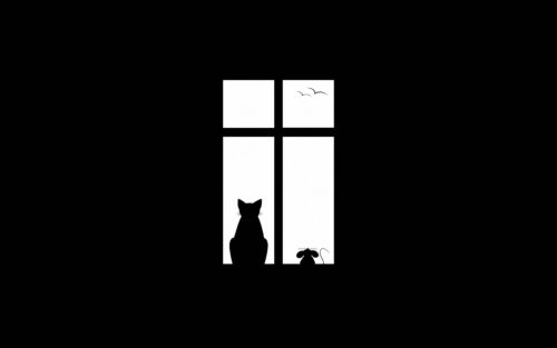 cat silhouette, window frame, peaceful scene, natural lighting, elegant cat