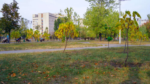 парк Флоренція, Київ, зелений куточок, шпалери на робочий стіл