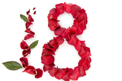 шпалери 8 березня, світлий фон, пелюстки червоної троянди, зелені листя