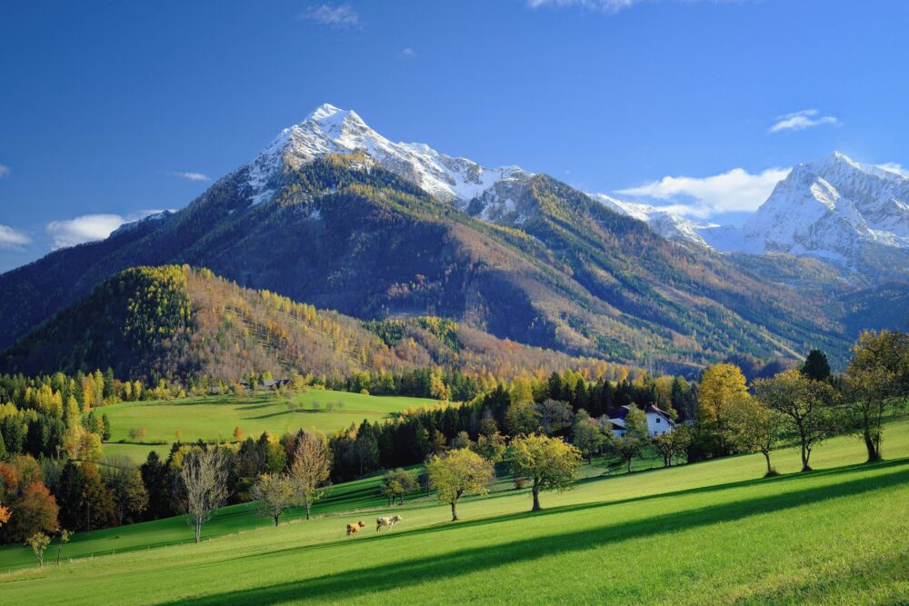 mountain landscape with lush trees and green grass, 4k summer wallpaper