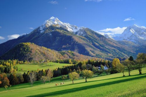 гірський пейзаж з пишними деревами та зеленою травою, обої природа літо