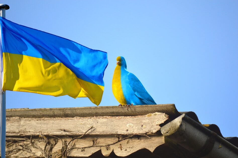 ukrainian independence day august 24