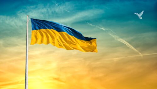 Ukrainian Independence Day, flag