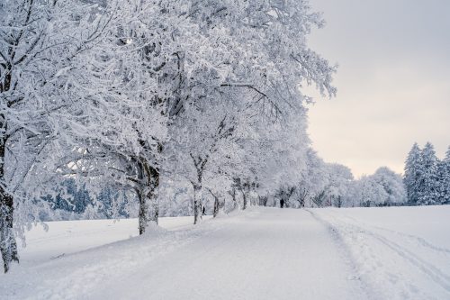 красиві зимові картинки, Зимова снігова алея