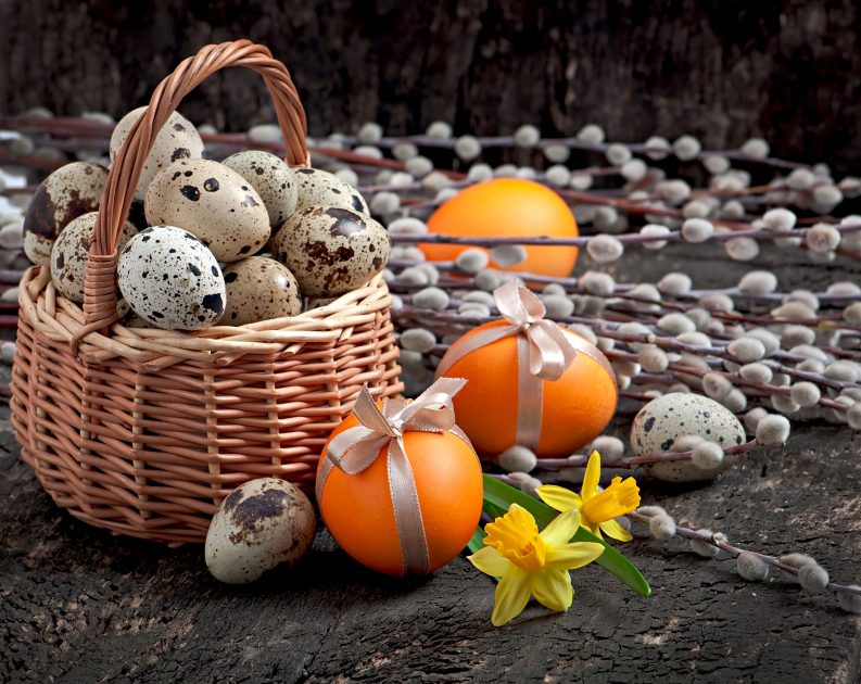 Basket of quail and chicken eggs for Easter