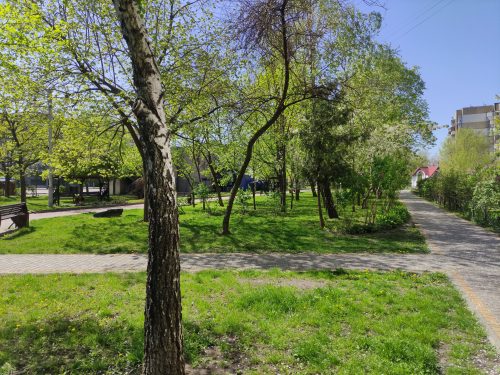 Весняний міський парк з алеями та зеленими деревами